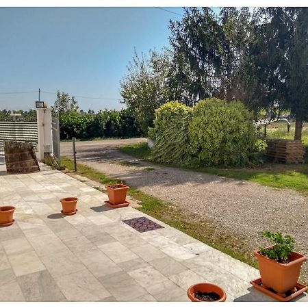 Elizabeth B&B Lentigione Dış mekan fotoğraf
