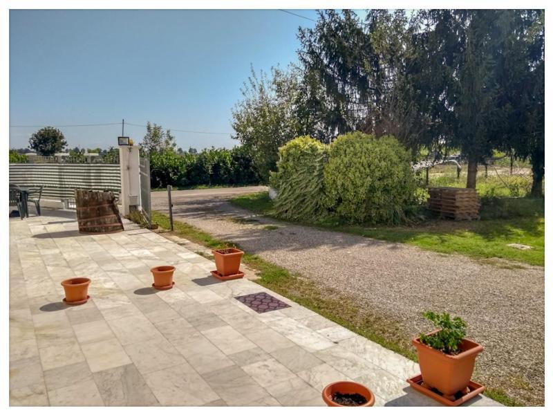 Elizabeth B&B Lentigione Dış mekan fotoğraf