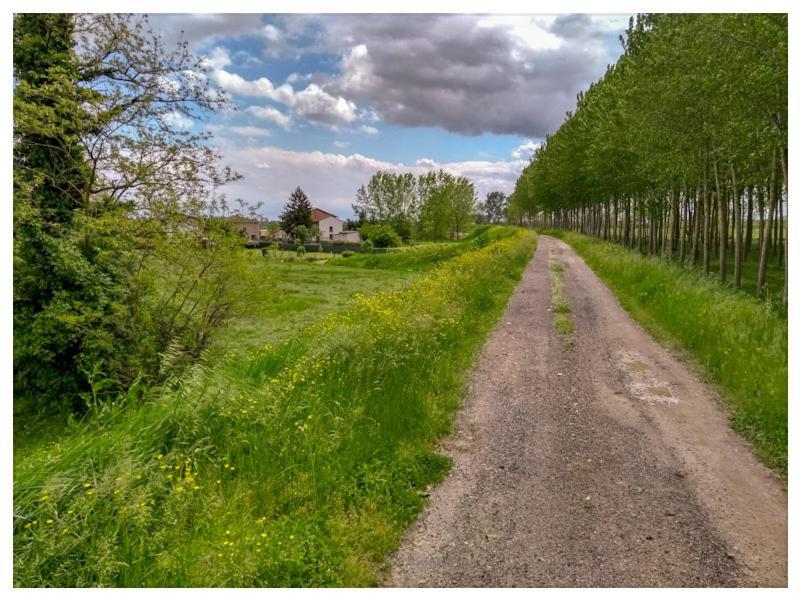 Elizabeth B&B Lentigione Dış mekan fotoğraf